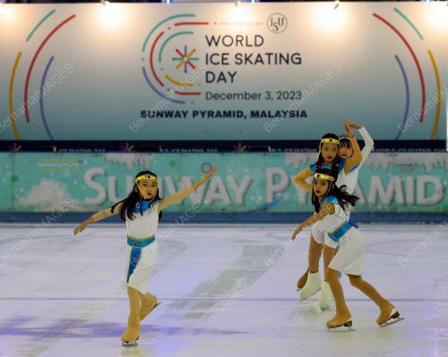 WORLD ICE SKATING DAY
