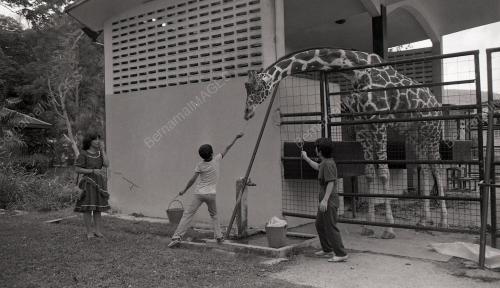 KL18_07012015_HUMAN_INTEREST_CNY