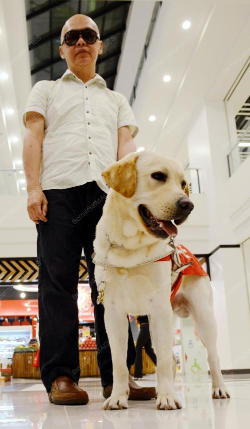 KL18_08052014_GUIDE_DOG