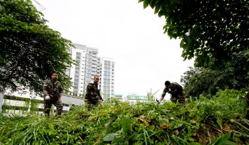 KL18_08112015_GOTONG