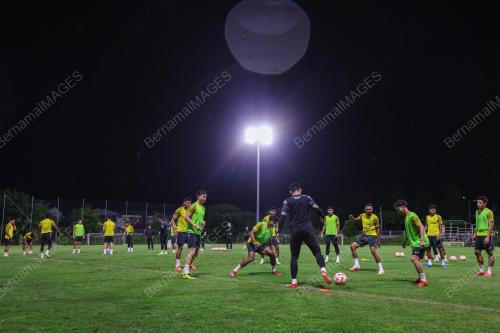 SKUAD HARIMAU MALAYA