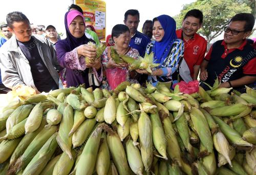 KL18_11022018_SHAHRIZAT