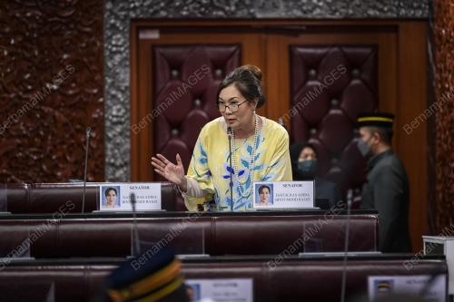 SENATOR DATUK RAS ADIBA RADZI