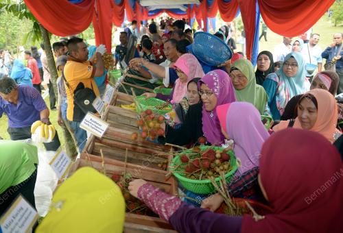 KL18_11122015_FIESTA_BUAH