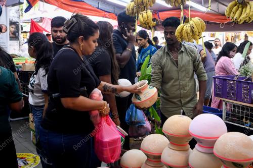 PERSIAPAN PERAYAAN PONGGAL