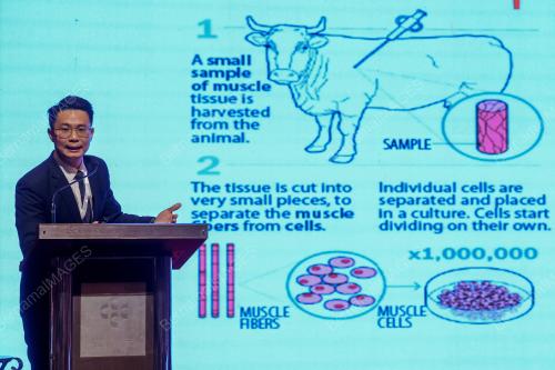 CULTIVATED MEAT CONFERENCE