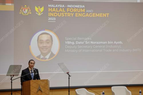 DATUK SERI NORAZMAN AYOB