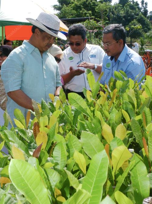 MUHYIDDIN YASSIN