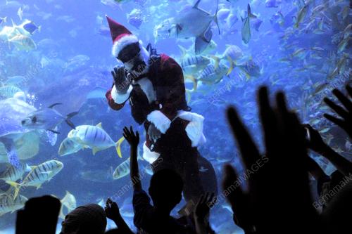 SANTA CLAUS
