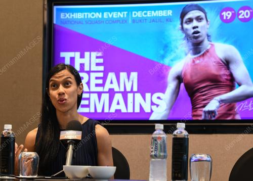 DATUK NICOL ANN DAVID