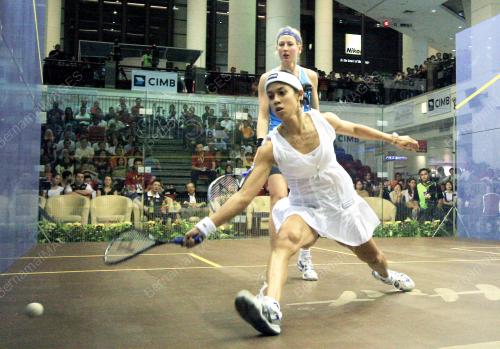NICOL DAVID