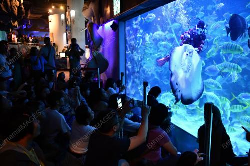 TINJAUAN AQUARIA KLCC