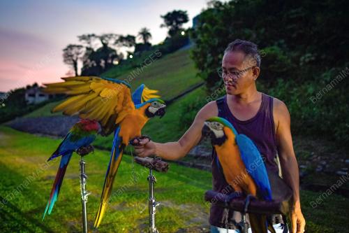 KOMUNITI KUALA LUMPUR FREE FLY