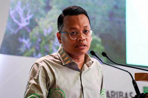 NIK NAZMI NIK AHMAD