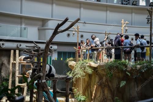 TINJAUAN ZOO NEGARA