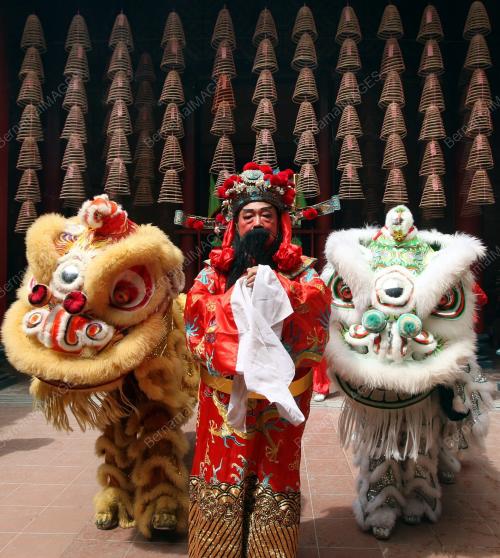 TAHUN BARU CINA