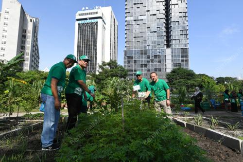 KL18_29112018_KEBUN_BN201811264719