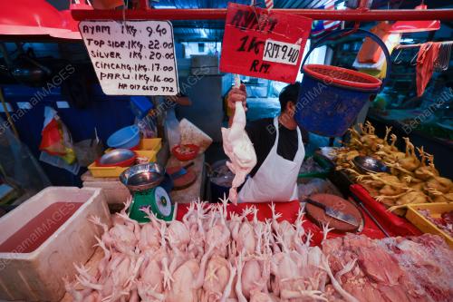 TINJAUAN HARGA AYAM