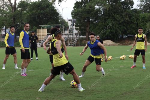 HARIMAU MALAYA