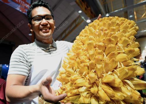 KL18_30092017_NANGKA