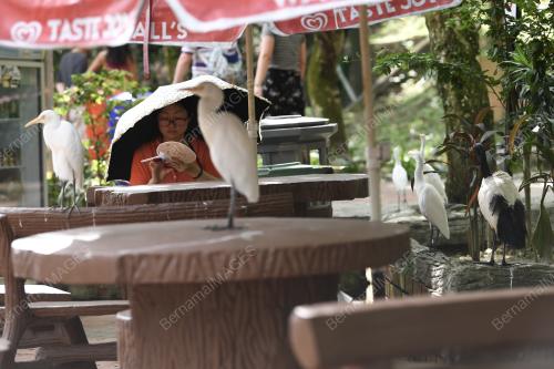 KL19_01022019_TINJAUAN_BN201901319687