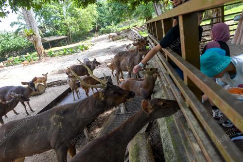 TINJAUAN CUTI UMUM HARI RAYA AIDILFITRI