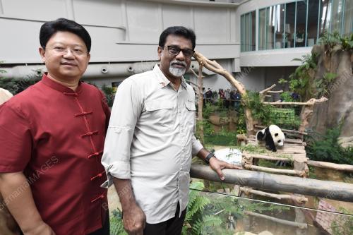 KL19_01082019_PANDA_BN201907316800