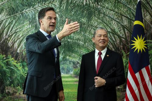 MARK RUTTE