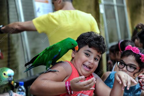 KL19_02092017_TAMAN_BURUNG