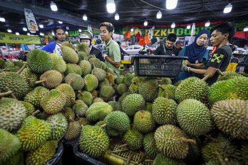 RIZKY DURIAN