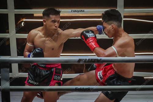 FURY CAMPIONSHIP