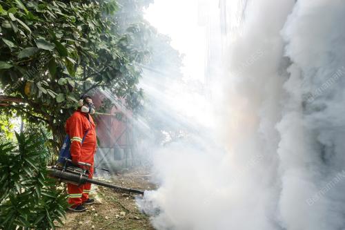 KL19_05092016_FOGGING