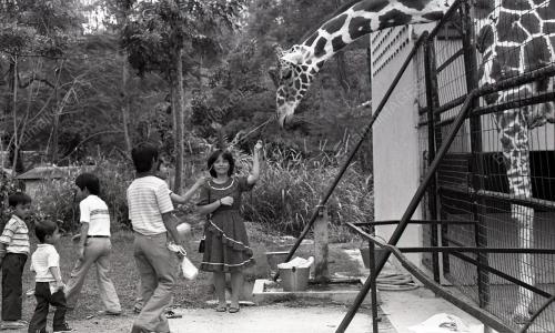KL19_07012015_HUMAN_INTEREST_CNY