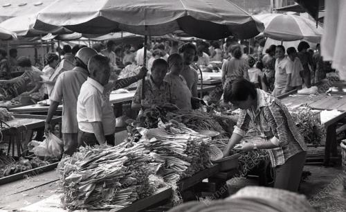 KL19_07012015_PENIAGA_PASAR
