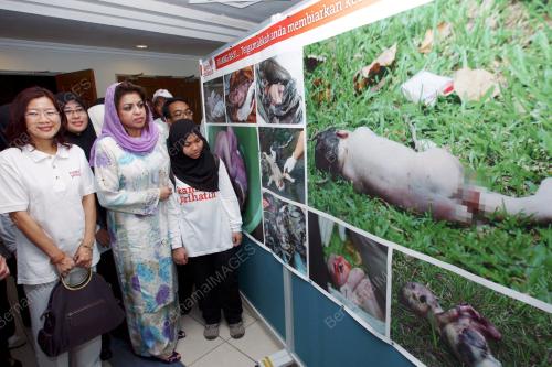 SHAHRIZAT ABDUL JALIL