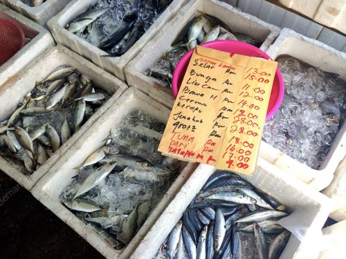KL19_11022015_HARGA_IKAN
