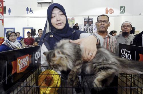 KL19_11062016_PET_WORLD