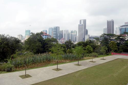 KL19_11122015_FIESTA_BUAH