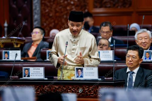 TAN SRI MOHAMAD FATMI CHE SALLEH