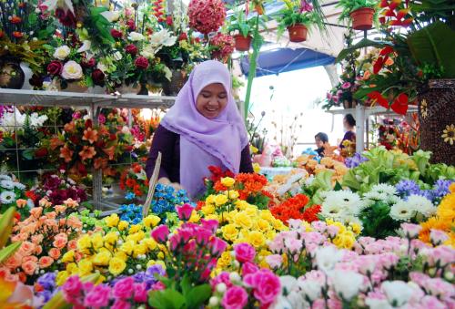 BUNGA HIASAN