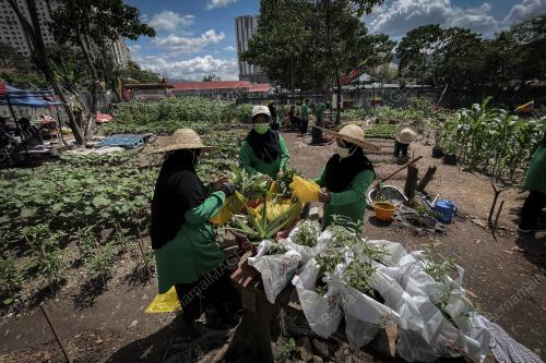 KEBUN KOMUNITI BANDAR SERI MALAYSIA