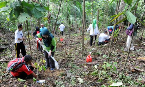 KL19_14052016_TANAM_POKOK
