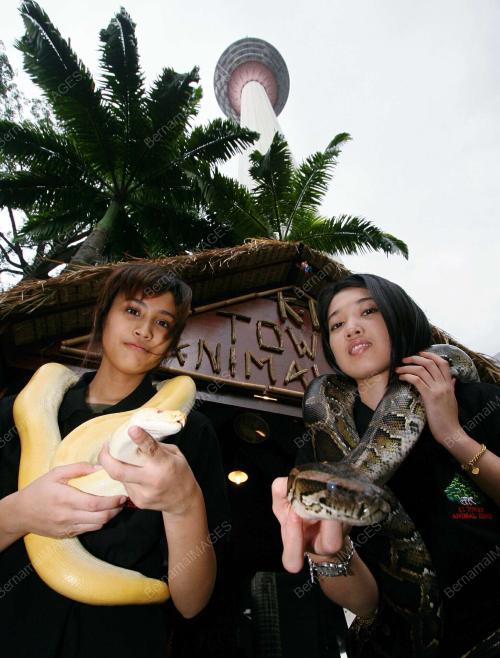 KL19_141108_ANIMAL ZONE