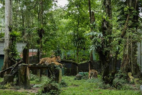 ZOO NEGARA