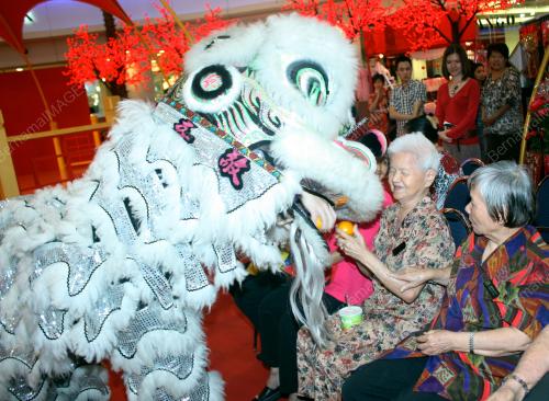 KL19_17012011_LION_DANCE