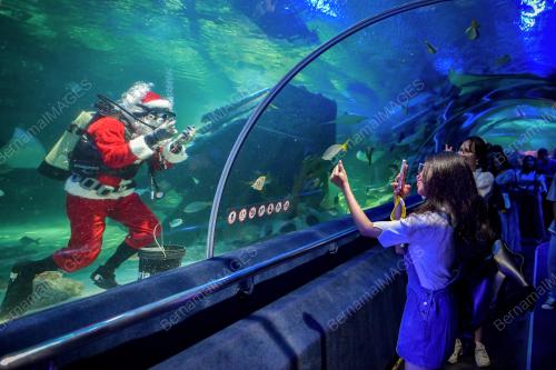 PERSEMBAHAN SANTA CLAUS AQUARIA