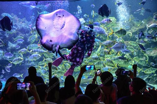 TINJAUAN AQUARIA KLCC