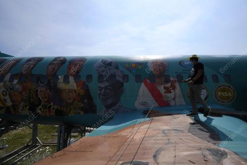 MURAL BOEING 737