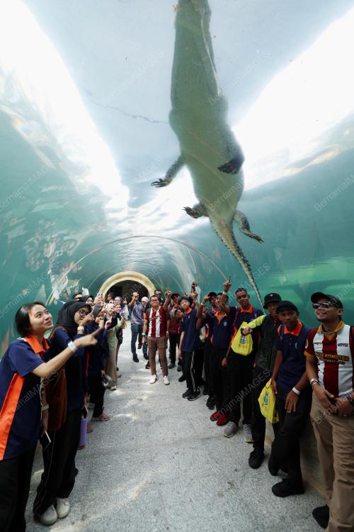 A'FAMOSA SAFARI WONDERLAND