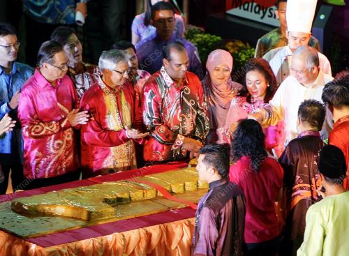 MOHD NAJIB TUN ABDUL RAZAK